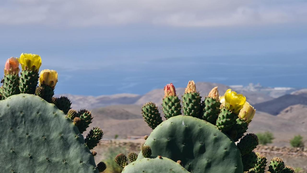 Puerto Rico Top Teide And Amadores View Kültér fotó