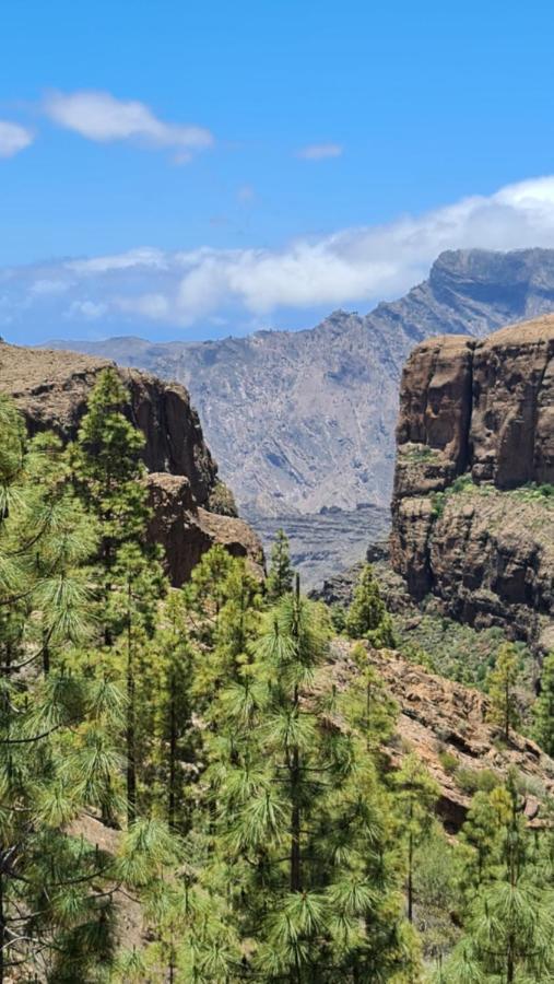 Puerto Rico Top Teide And Amadores View Kültér fotó